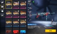 Winterlands Weapon Loot Crate is given to users after they use the redeem code (Image via Garena)